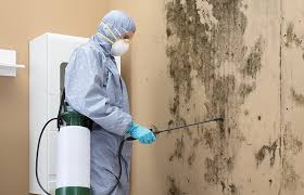 Best Water Damage & Mold Remediation  in Fremont, CA